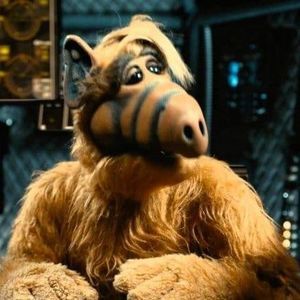 Meet your Posher, Joseph